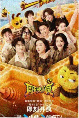 夏日狂想 综艺 2025